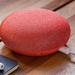 Google Home Mini Smart Assistant - Coral